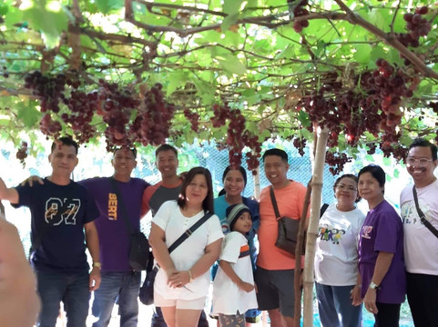 Climasenrose Grape Farm-San Fernando La Union必去景点