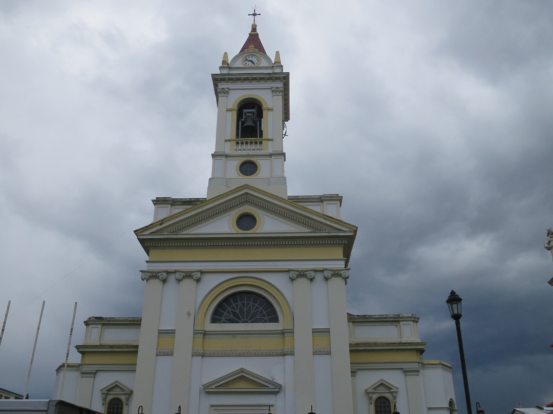 Catedral Sagrado Corazon景点图片
