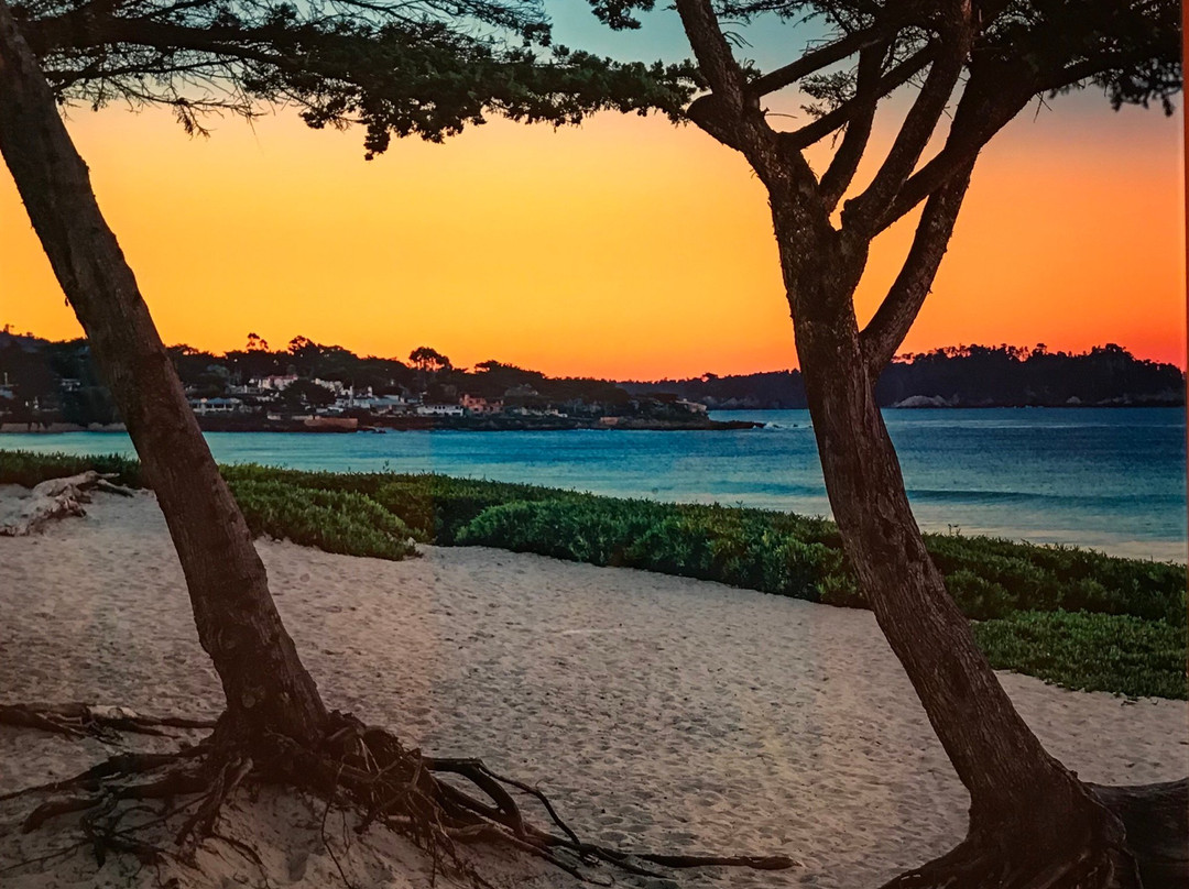 Aaron Chang Ocean Art Gallery-索拉纳海滩必去景点