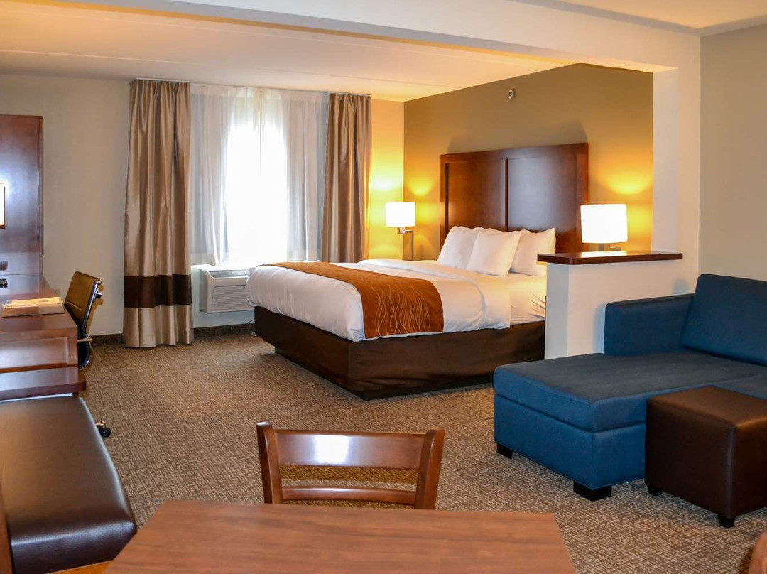Comfort Inn & Suites Wilkes Barre - Arena主图