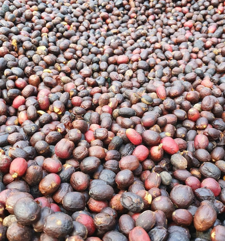 Boquete Valley Ruiz Coffee Shop-波魁特必去景点