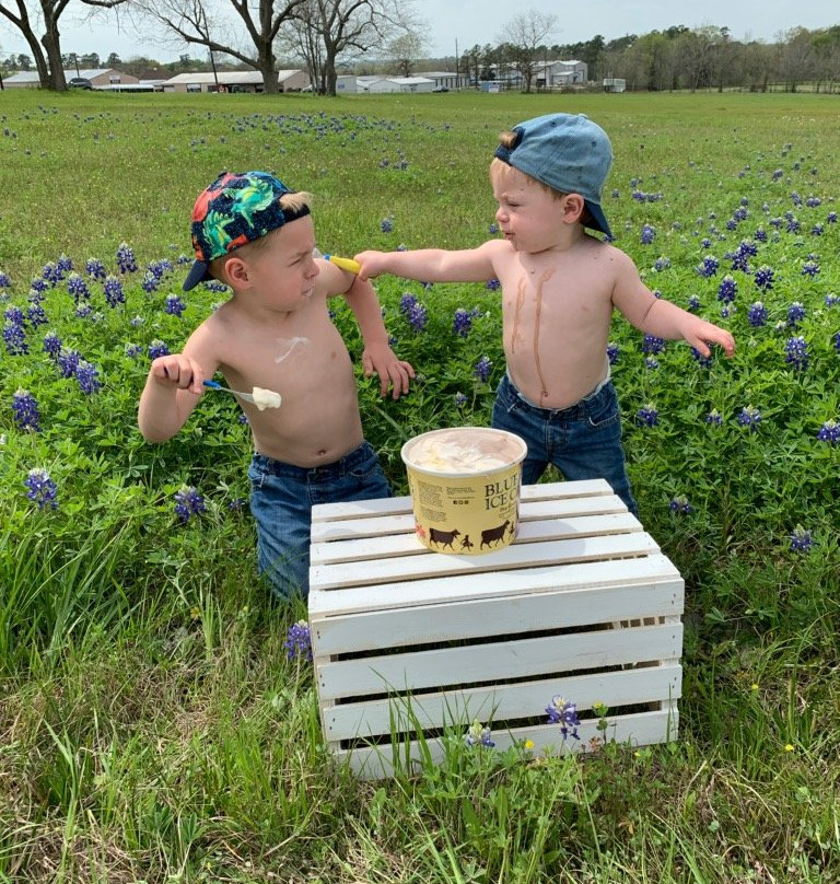 Blue Bell Creameries景点图片