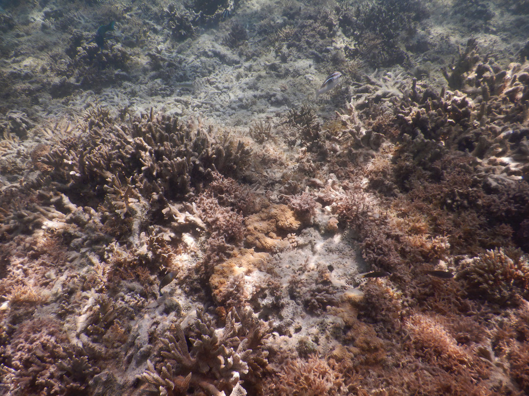 Signal Island-努美阿必去景点