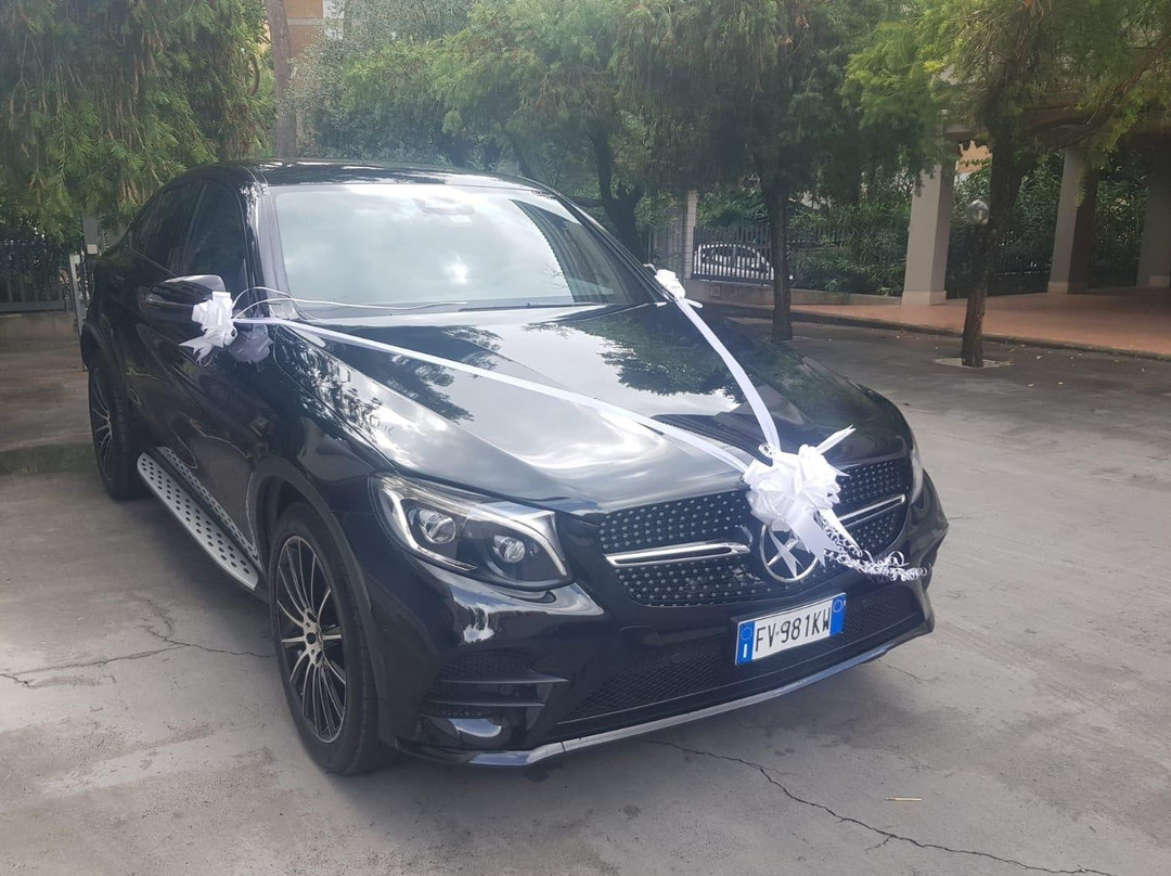 C.T.M. Limousine Tours end experiences-罗马必去景点