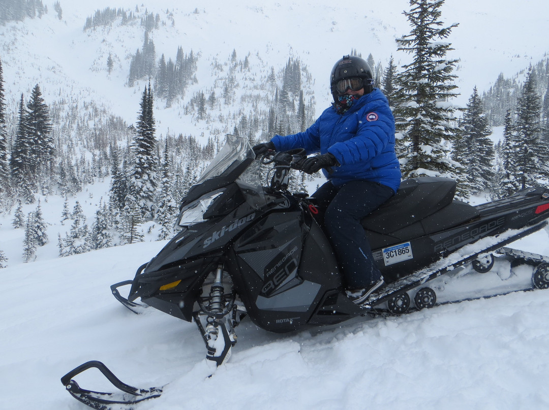 White N’ Wild Snowmobile Tours-戈尔登必去景点