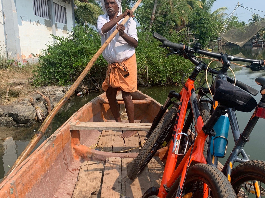 Godwit Adventures - Village Bike tour & Bidwatching-阿拉普扎必去景点