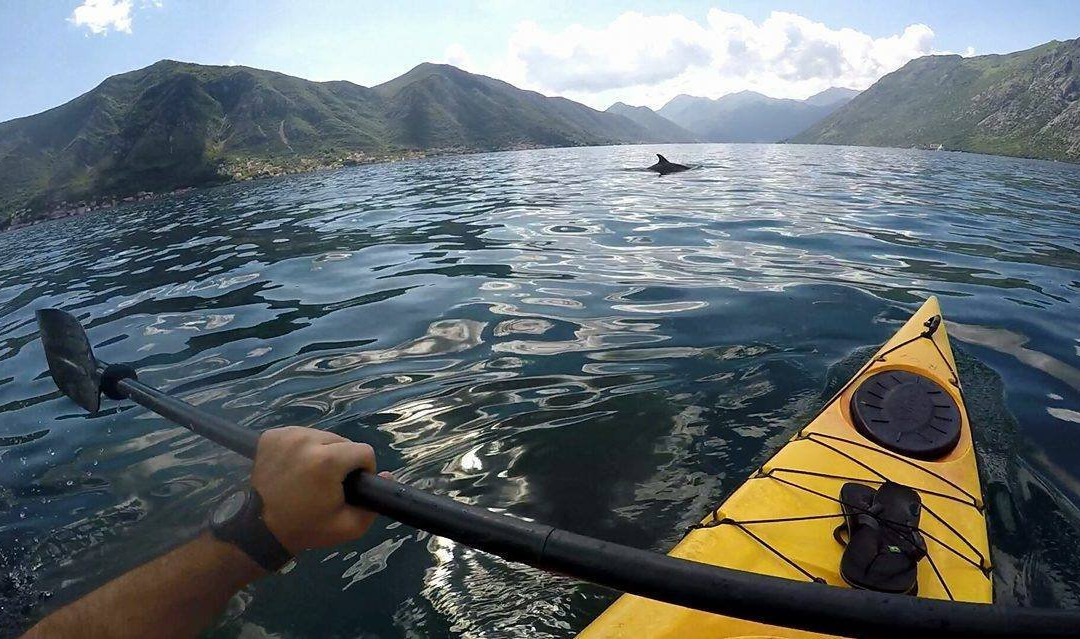 Kotor Bay Tours景点图片