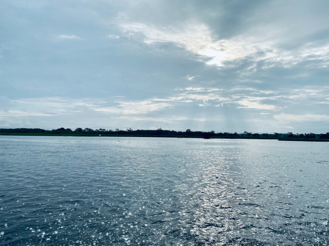 Amazon Jungle Trips景点图片