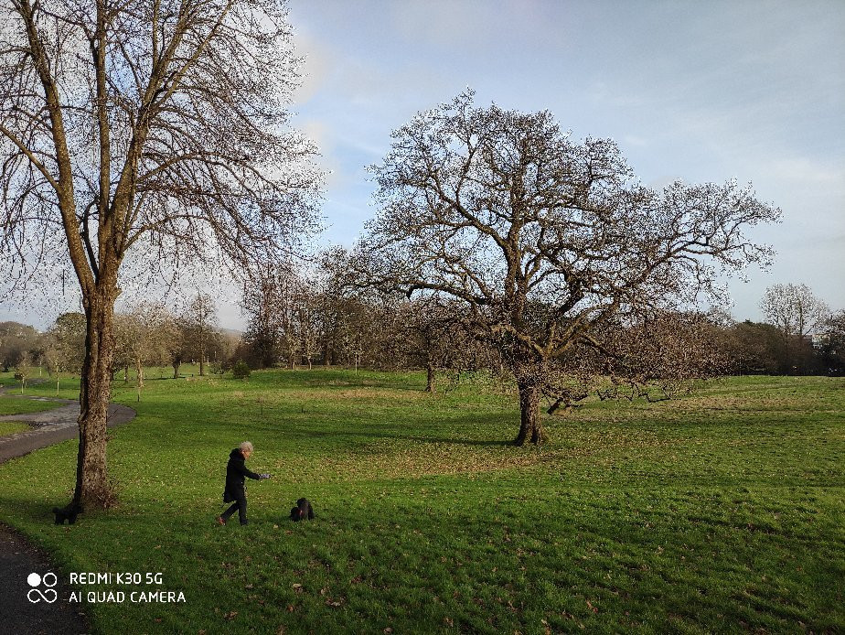 Singleton Park-斯温西必去景点