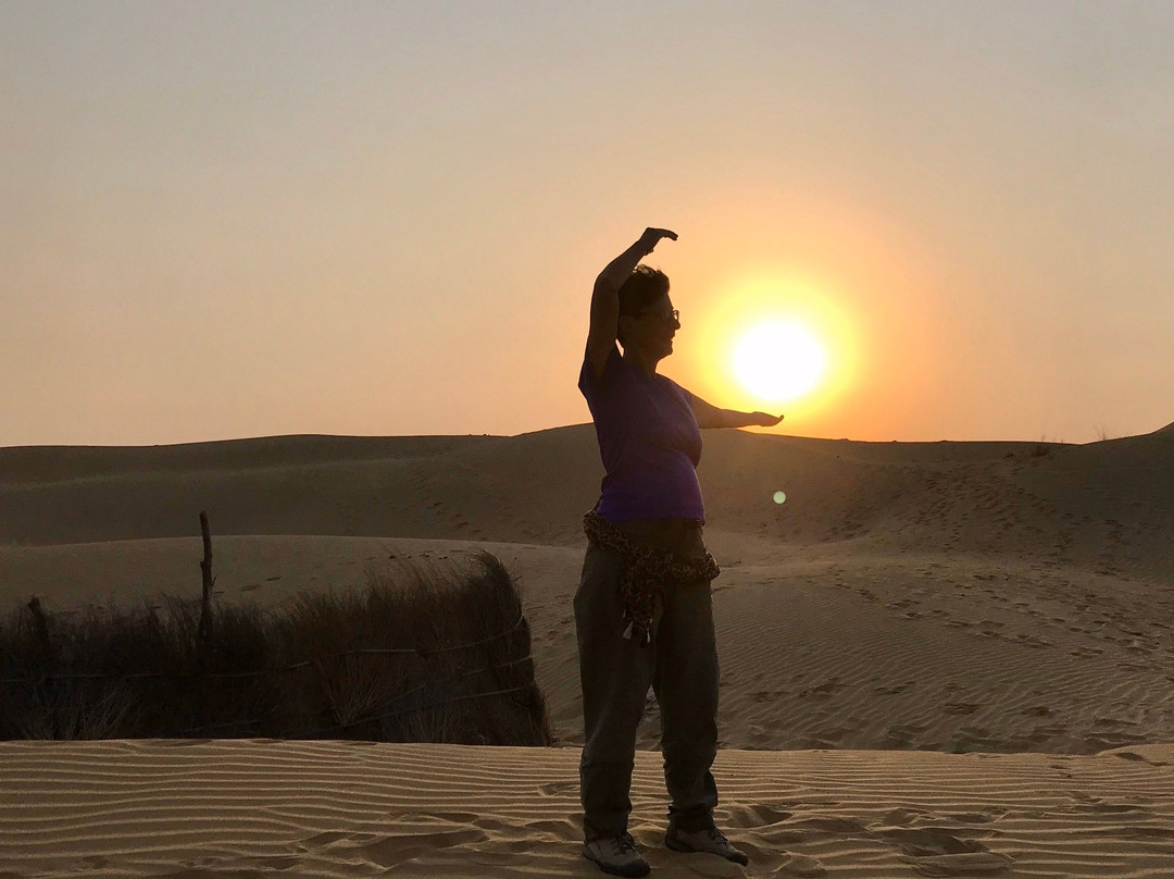 Wild Heritage Tours Jaisalmer景点图片