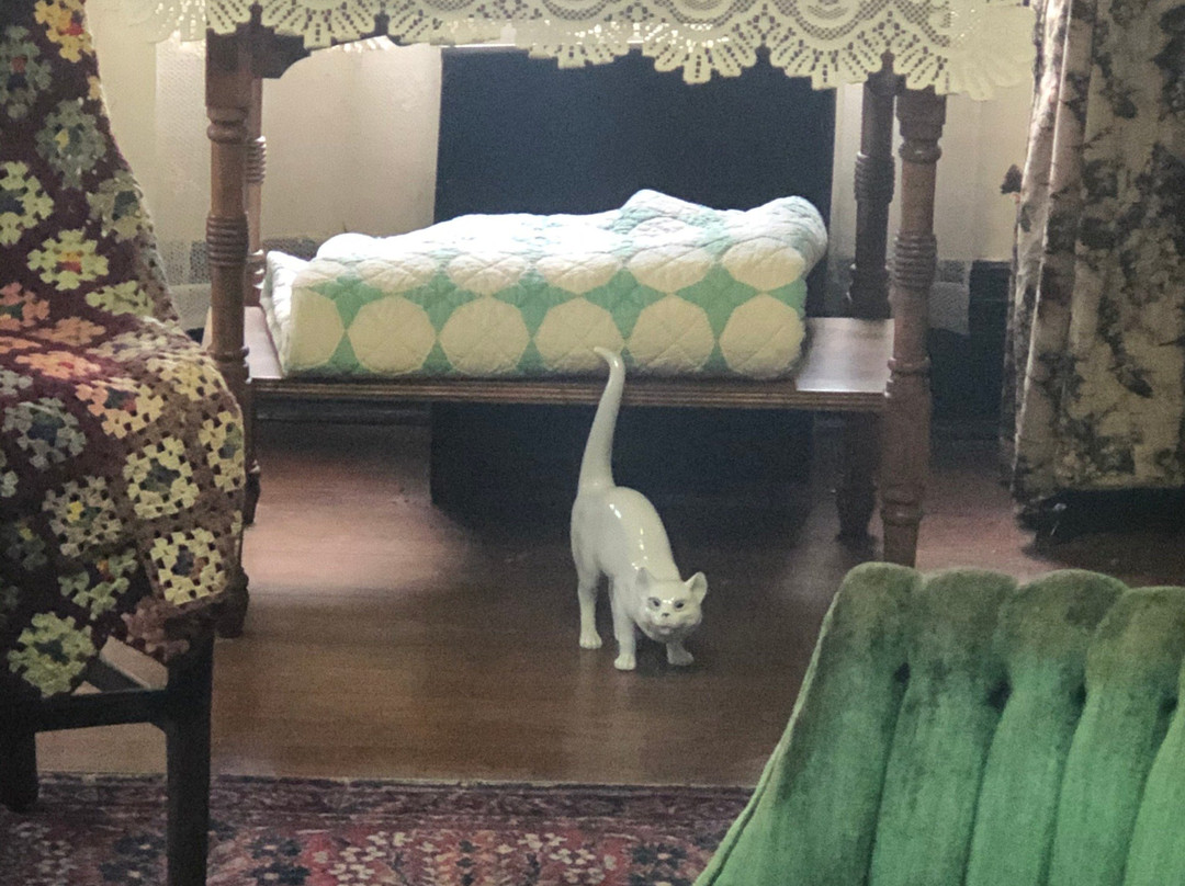 Casey Jones Village-Jackson必去景点