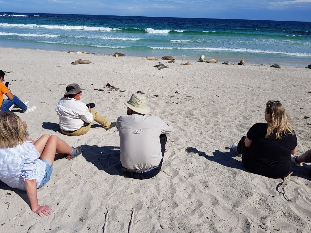 Kangaroo Island Odysseys景点图片
