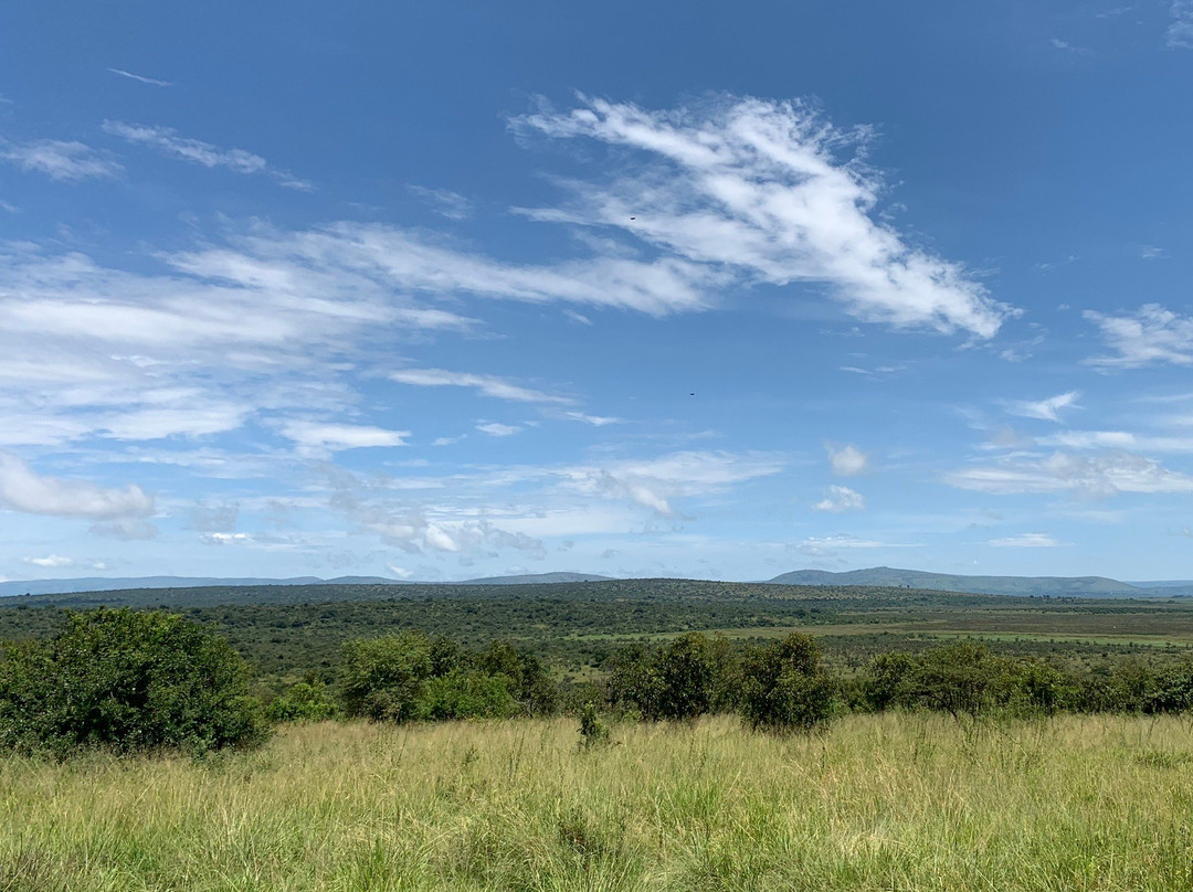null-Akagera National Park