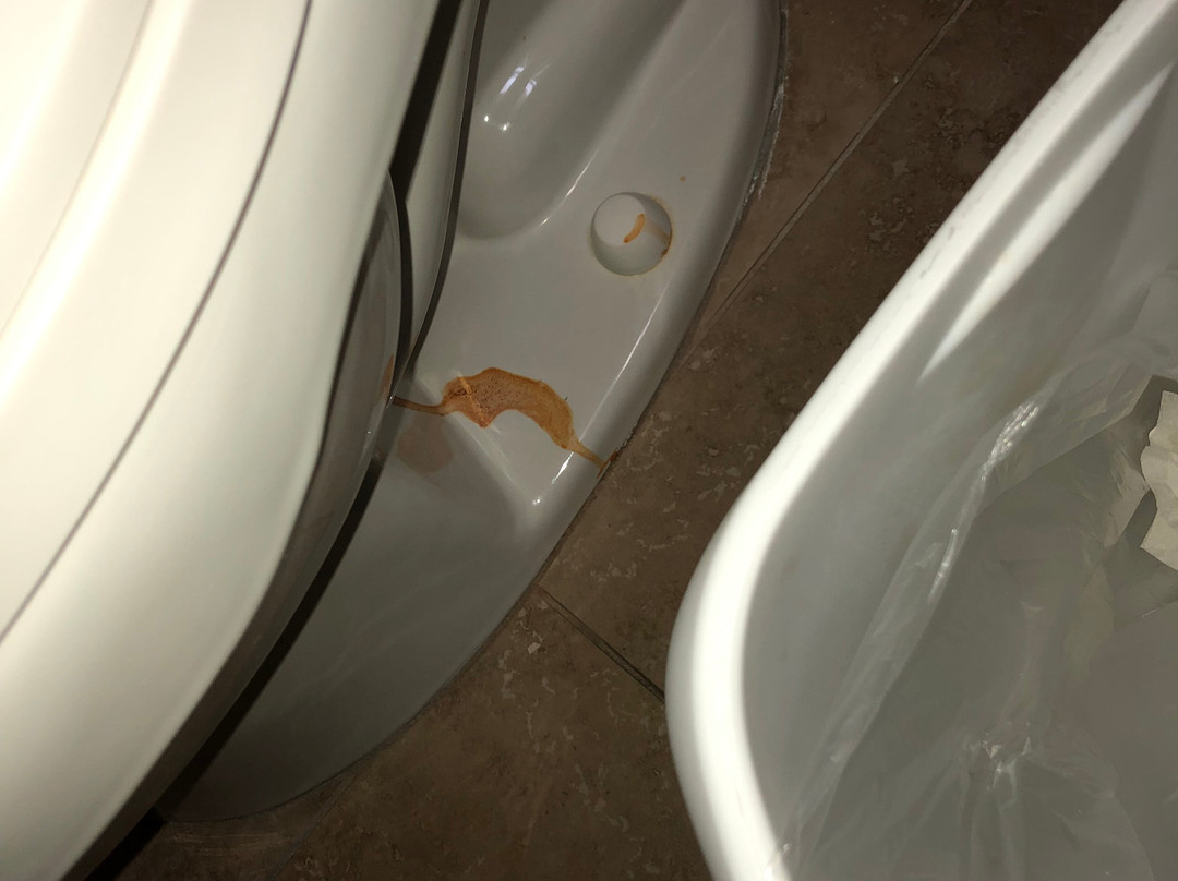 威廉姆斯东大峡谷速8旅馆主图