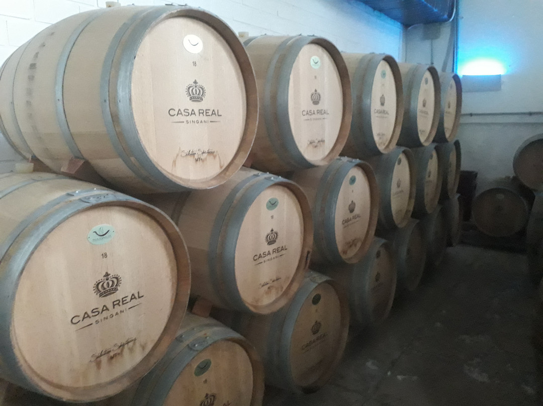 Bodega Casa Real-塔里哈必去景点