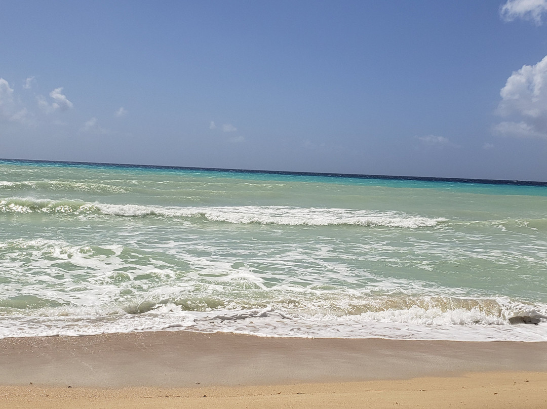 Sandy Point Beach And National Wildlife Refuge-圣克鲁斯必去景点