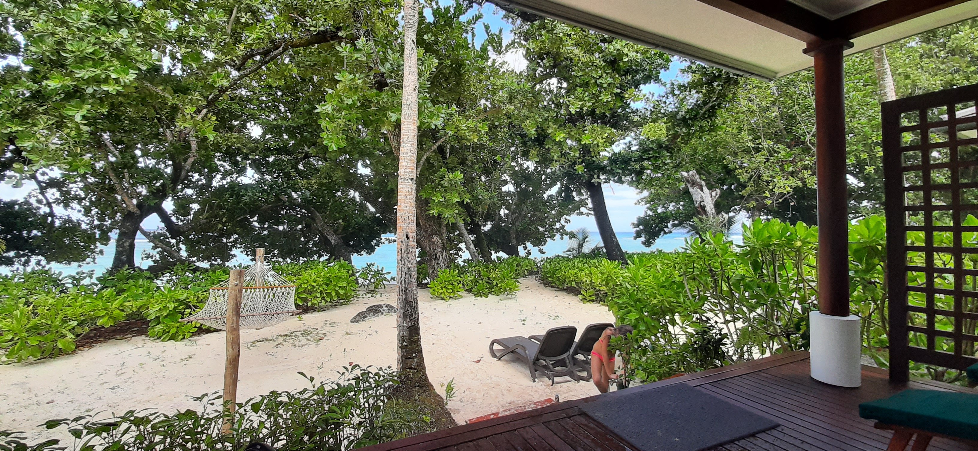 塞舌尔拉布瑞思希尔顿度假村-泳池