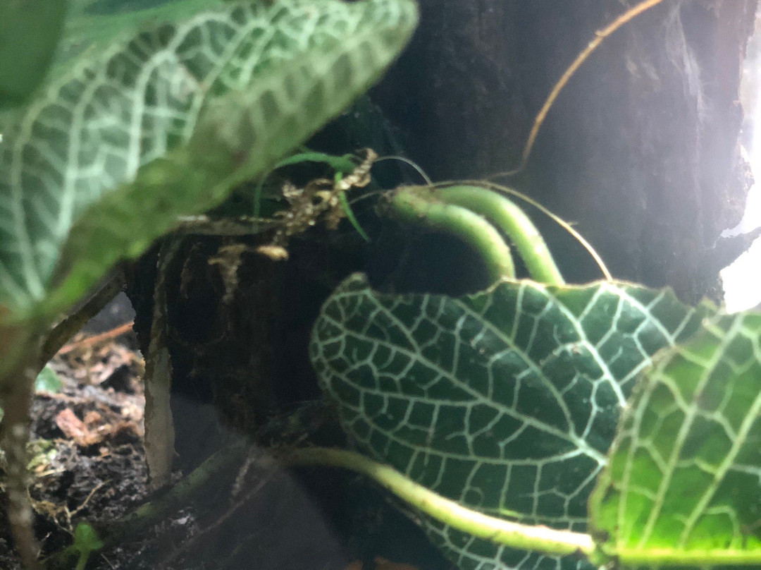 Smithsonian Tropical Research Institute景点图片