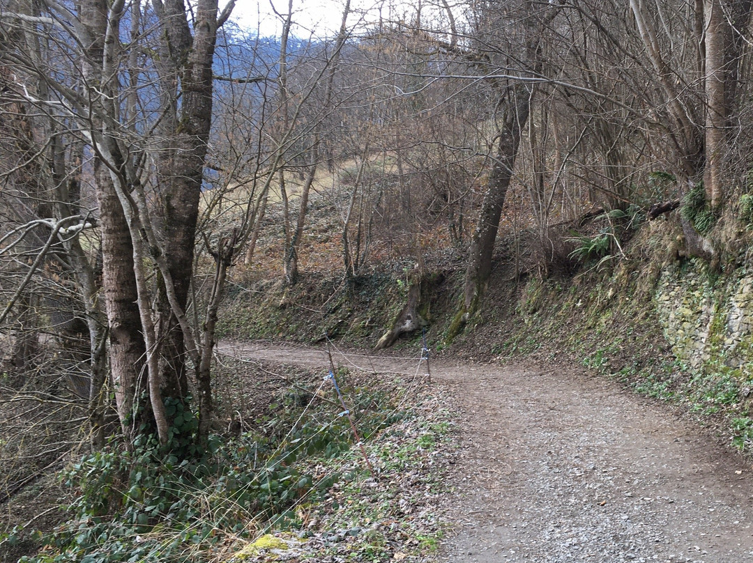 Balade a Pied au Depart de Saint-Lary-Saint-Lary-Soulan必去景点