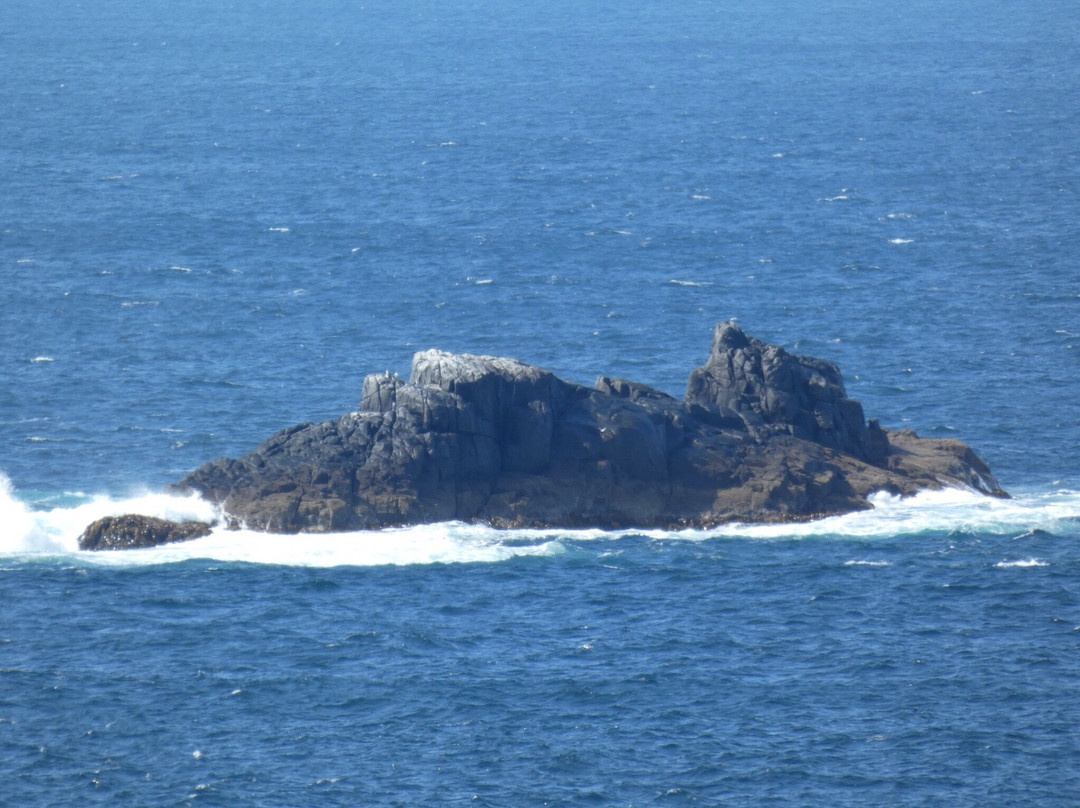Mount Brown and Crescent Bay Walking Track-亚瑟港必去景点