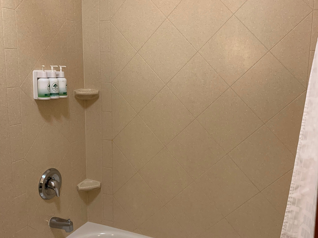 GreenTree Inn & Suites Florence主图