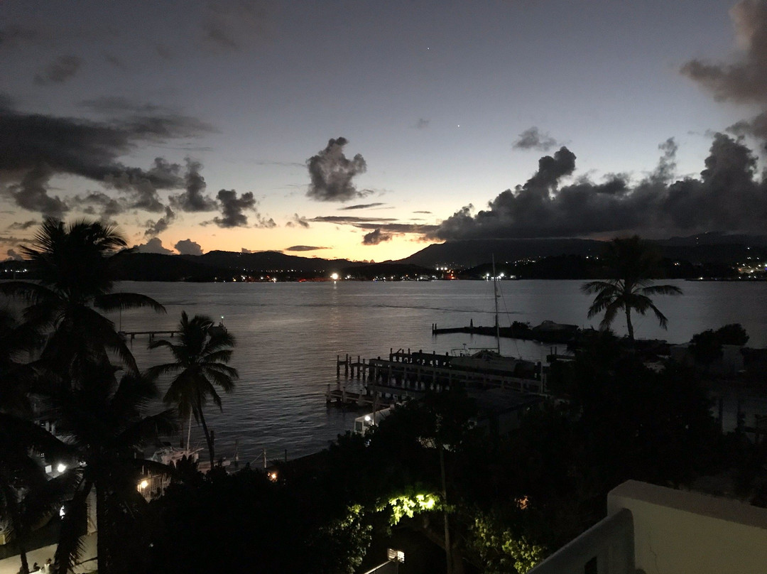 Black pearl Adventures Puerto Rico景点图片