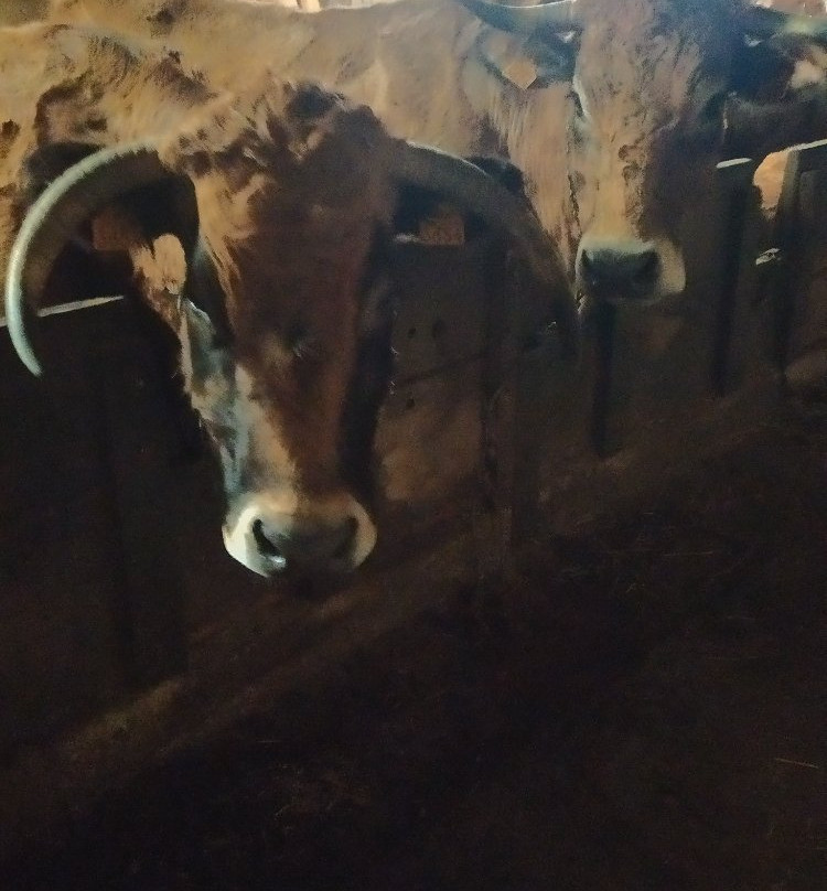 Domaine du Vayssaire