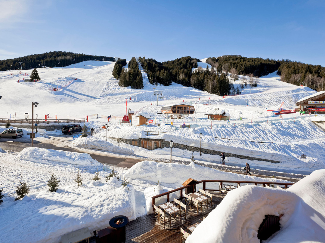 Hôtel Les Flocons主图