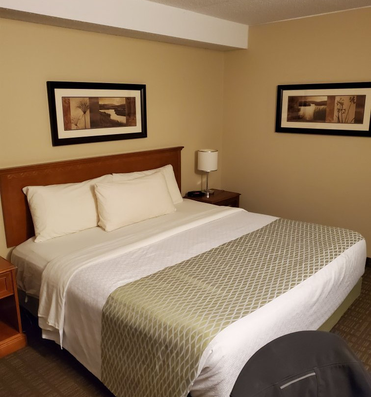 殖民广场套房酒店主图