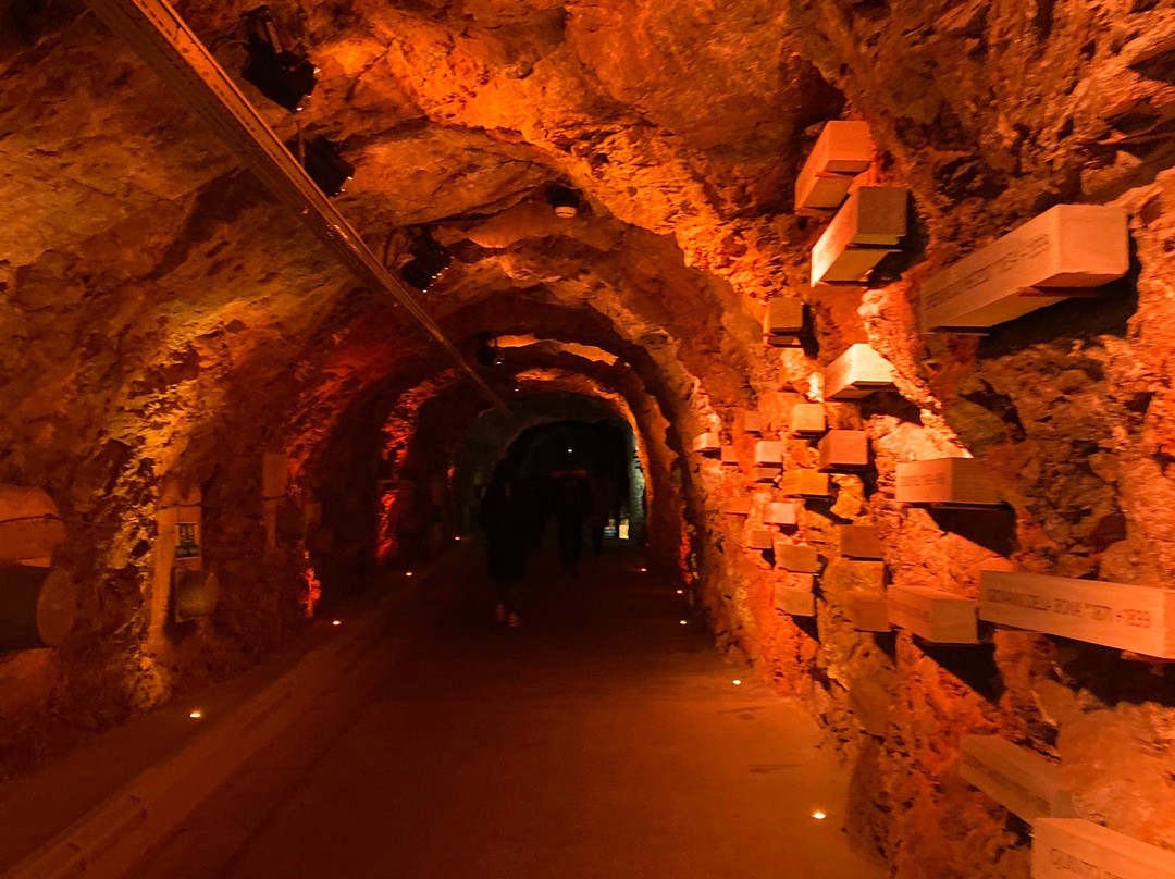 Top of Europe ICE MAGIC-因特拉肯必去景点