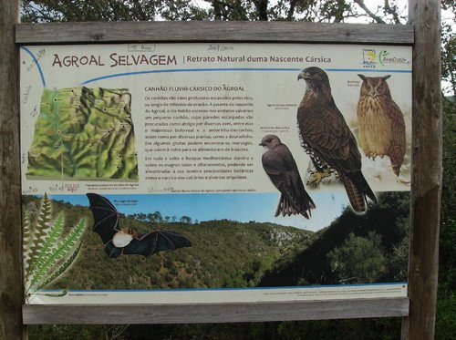 Parque Natureza do Agroal景点图片