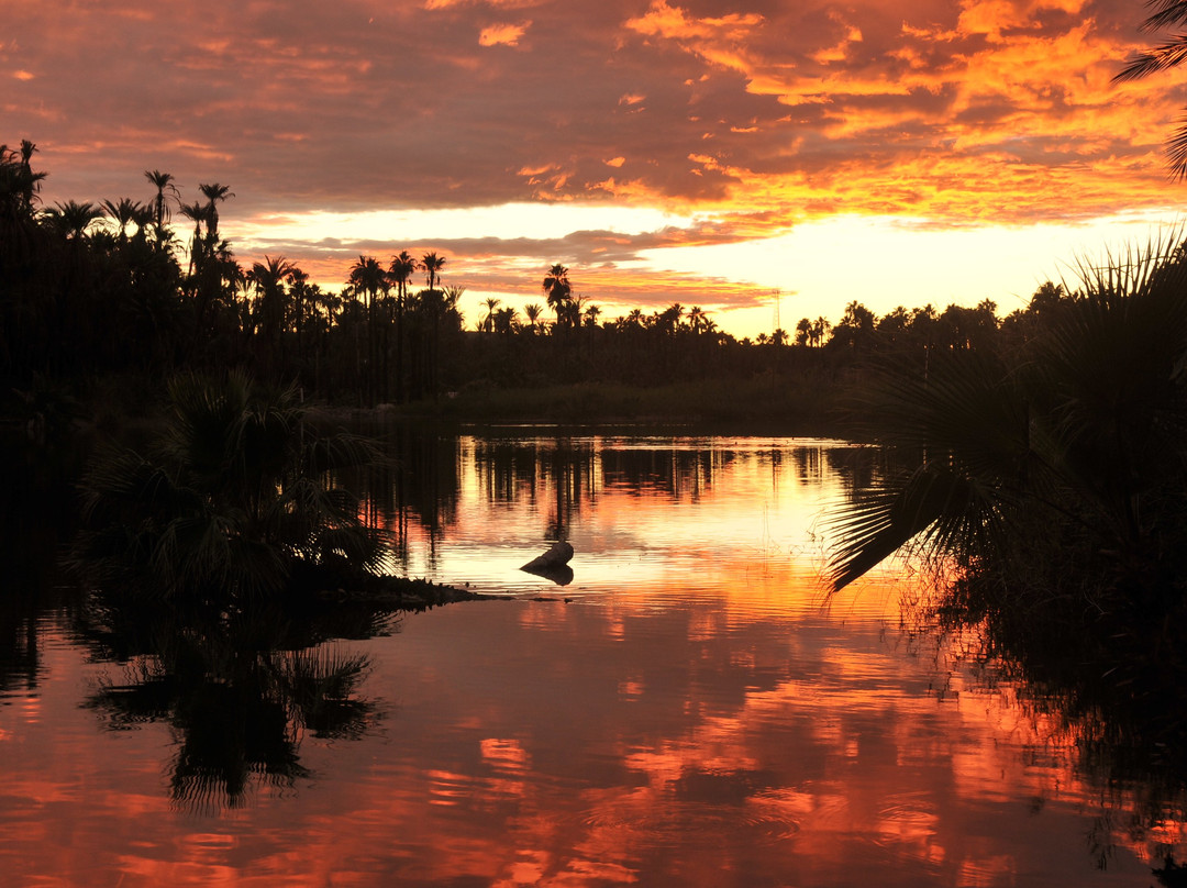 Ignacio Springs Bed & Breakfast主图