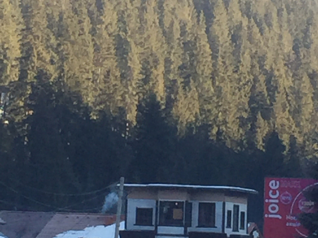 Upside Down House