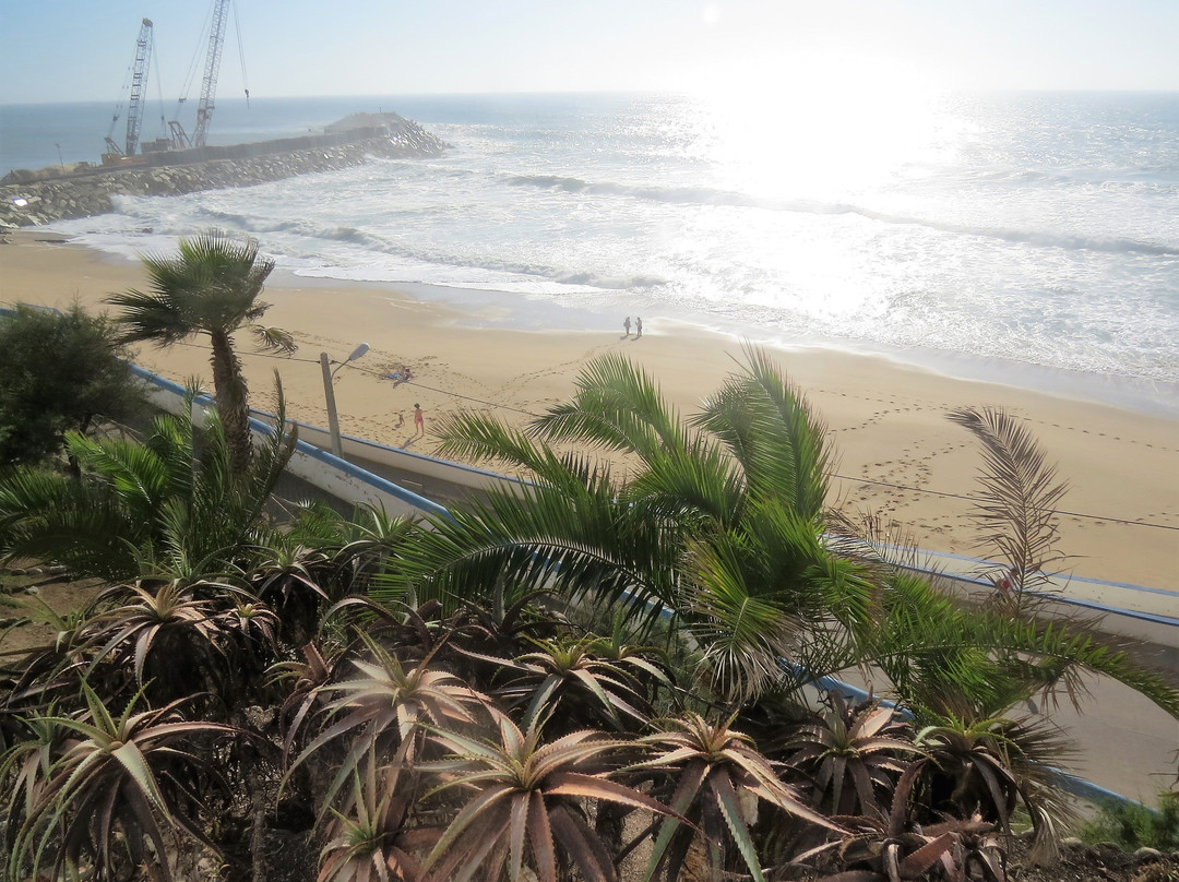 Praia do Norte景点图片