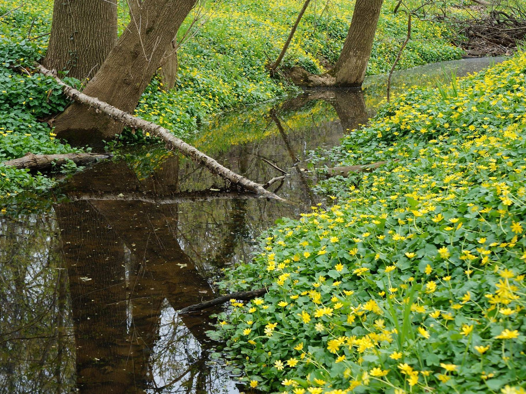 Lane Manor Park-Adelphi必去景点