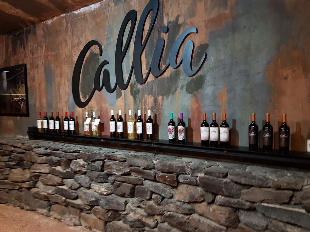 Bodegas Callia景点图片