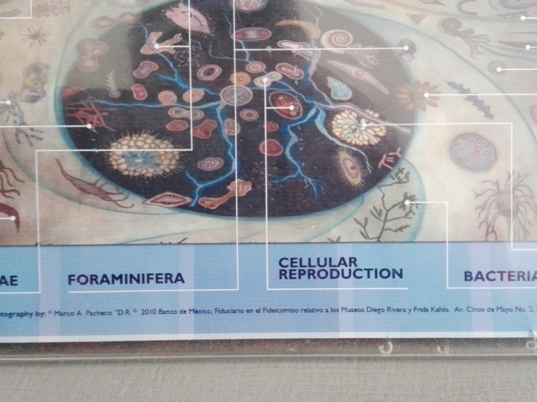 Museo del Carcamo de Dolores-墨西哥城必去景点