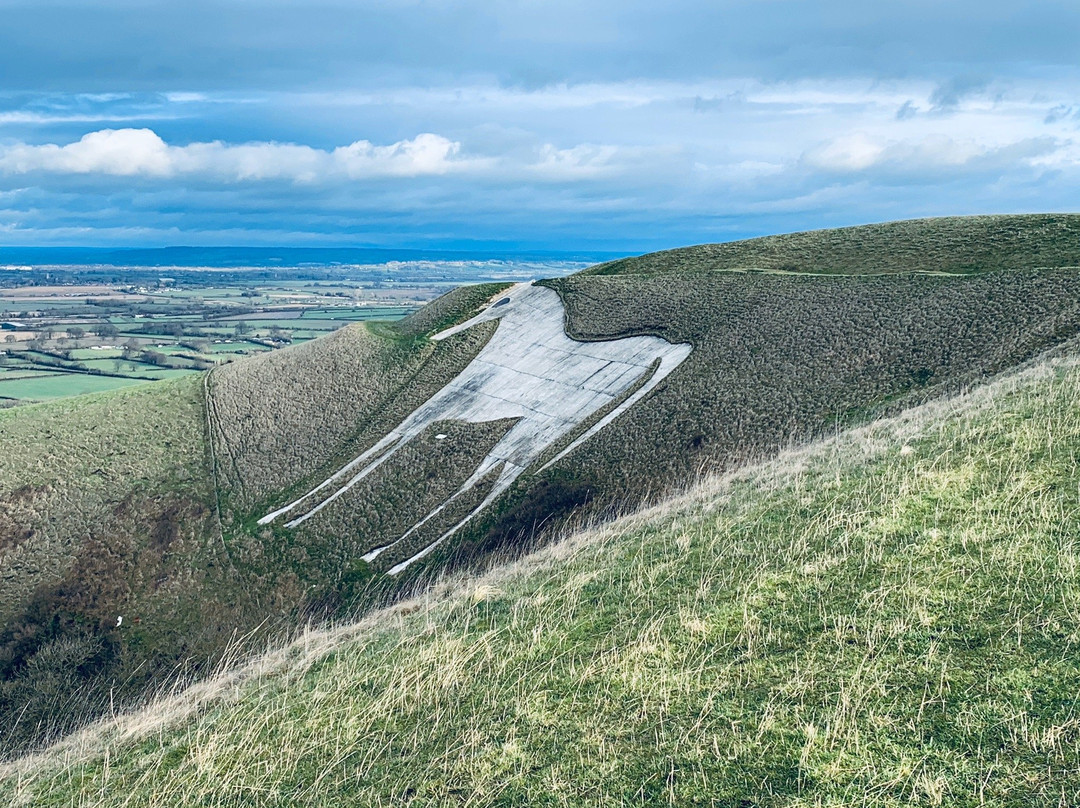 Westbury White Horse景点图片