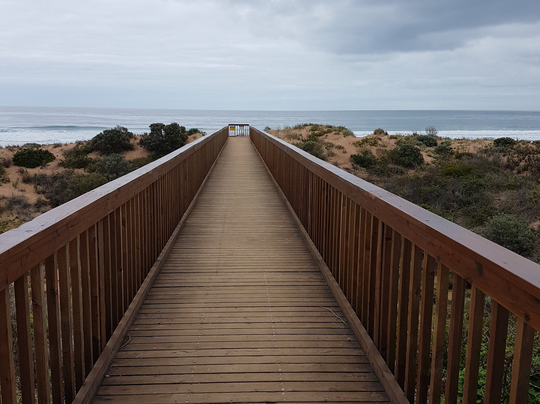Waitpinga Beach-Waitpinga必去景点