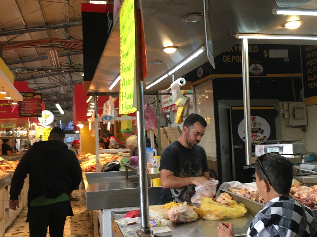 Old Mazatlan-马萨特兰必去景点