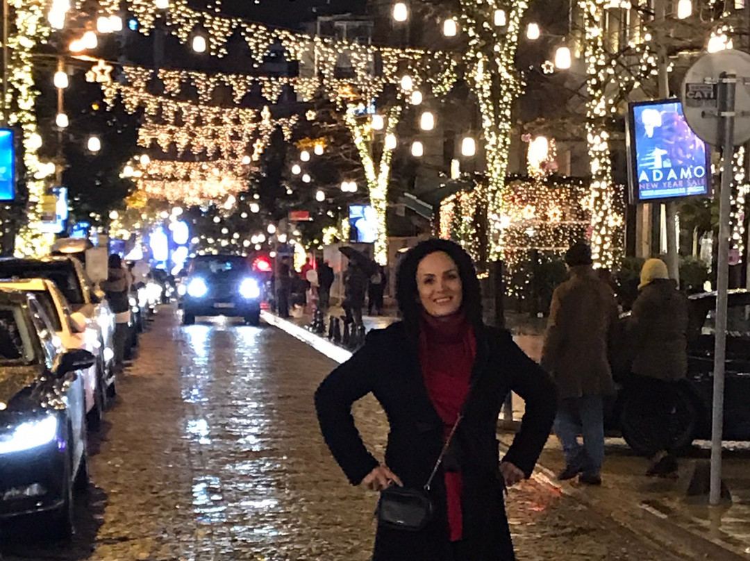 Tour Guide Zerrin-伊斯坦布尔必去景点