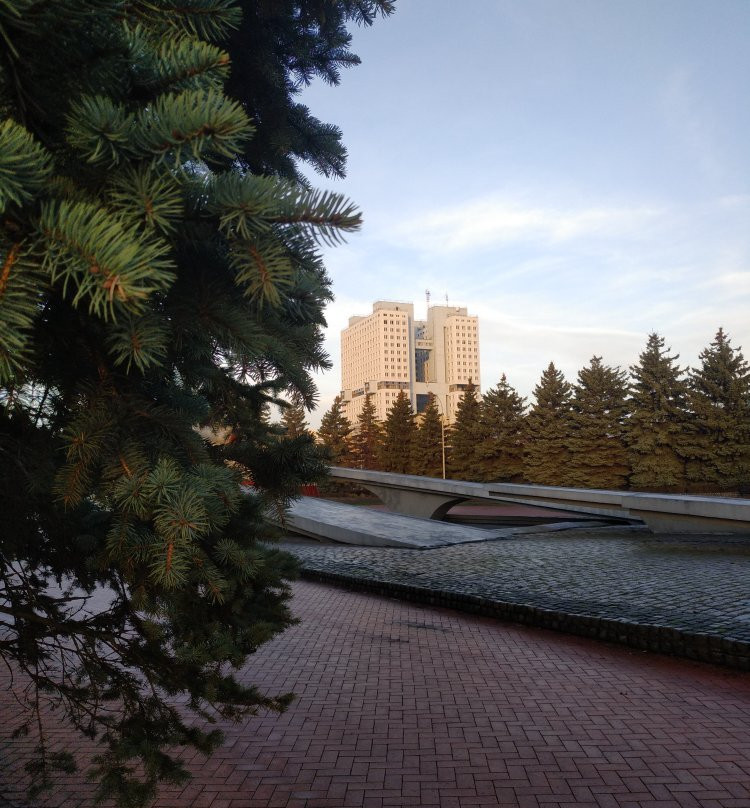 House of Soviets景点图片