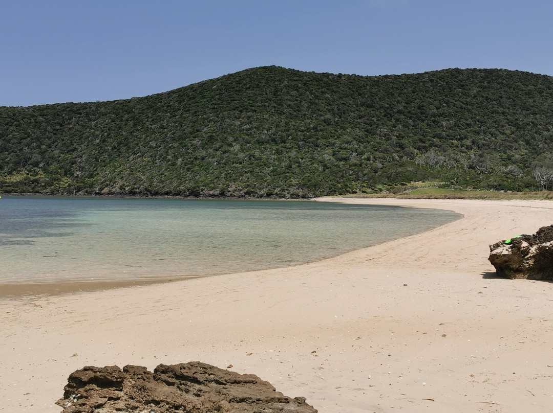 Old Settlement Beach-豪勋爵群岛必去景点