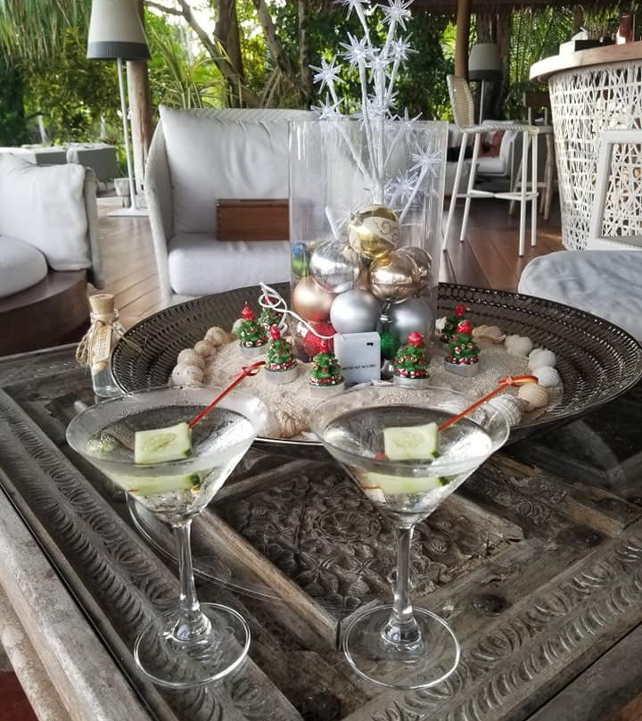 德顿岛度假别墅主图