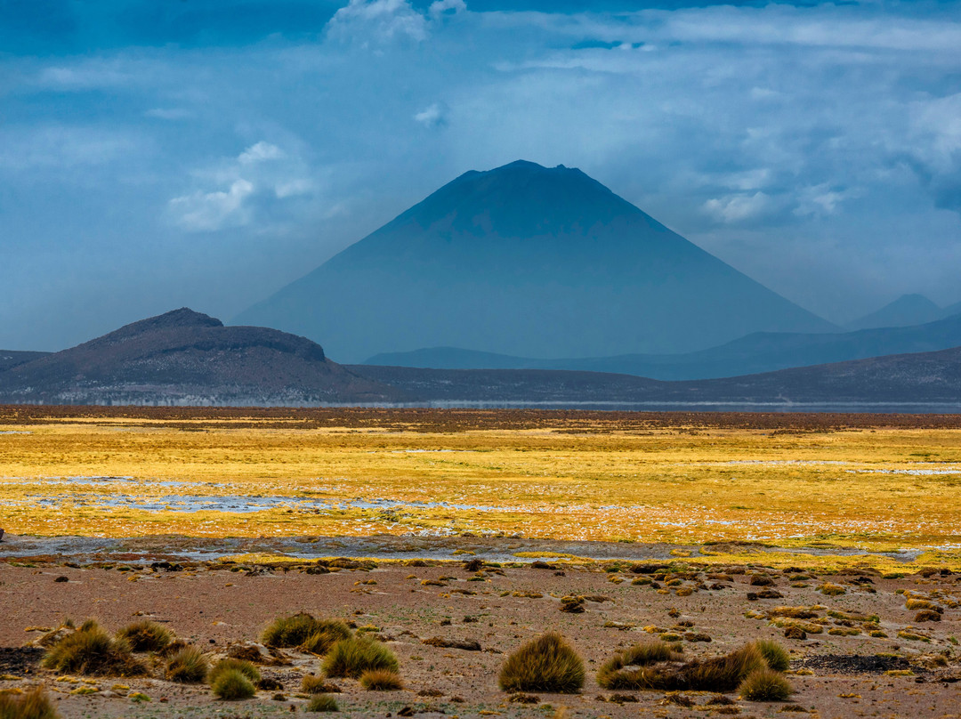 Peru Nat Red-阿雷基帕必去景点