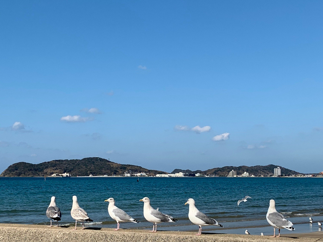 Fukuma Beach-福津市必去景点