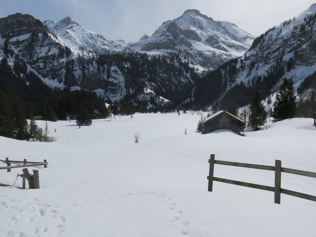 Lake Lauenen - Geltenhütte SAC - Lauenensee景点图片
