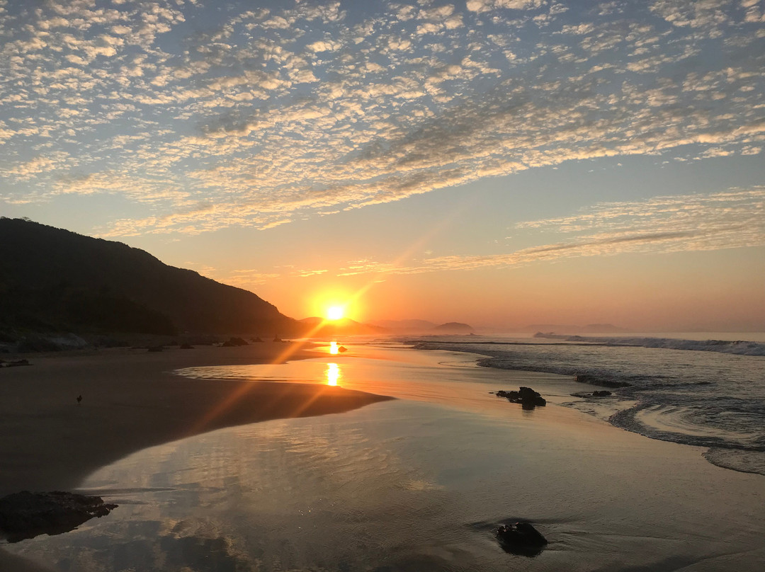 Playa Troncones景点图片