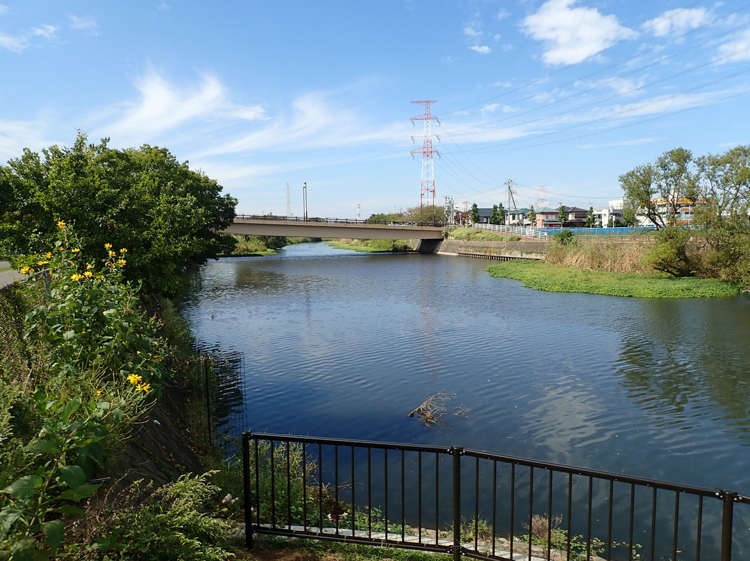 Kashiwafurusato Park-柏市必去景点