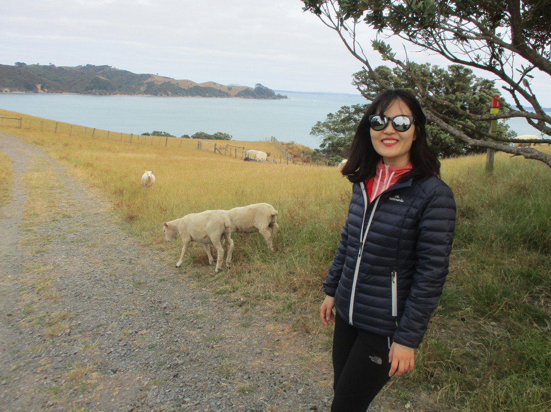 Wild Adventures New Zealand - Auckland Hiking Tours-奥克兰必去景点